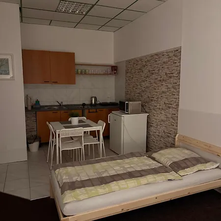 Guest house Levne *