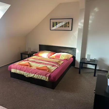 Guest house Levne 3*